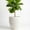 White Granite, variant on 16 Inch Handmade Concrete Outdoor Planter - Classic Striped Design | Fiberglass & Composite Material | Durable for Commercial & Home Decor (Black, Round)