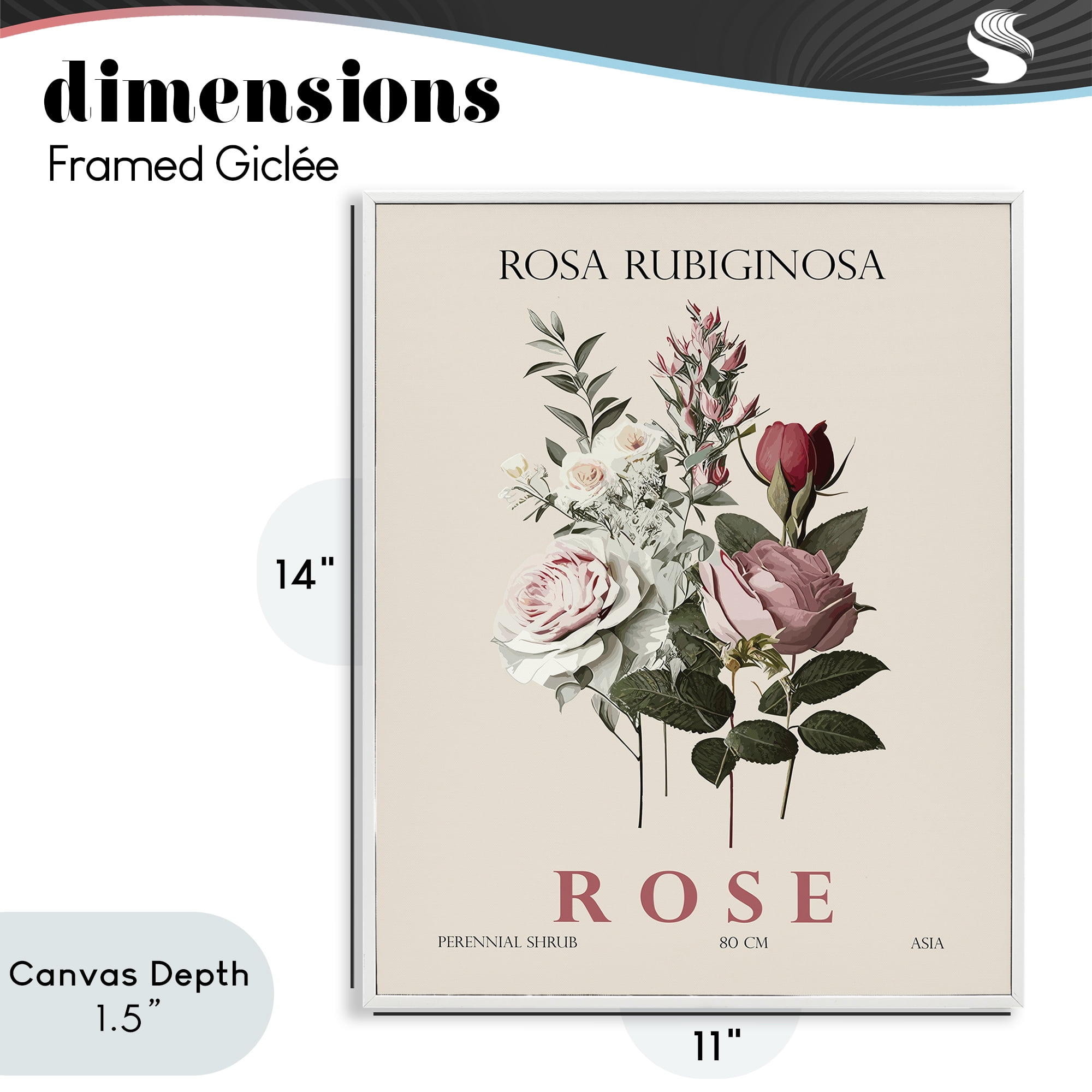 Stupell Industries Natural Rose Bundle White Framed Giclee Art, design by Christopher Giampietro