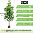 thumbnail image 2 of ShadeMart 71" Faux Fiddle Leaf Fig Tree - Realistic Texture, Indoor/Outdoor Decor for Home & Office, 2 of 5