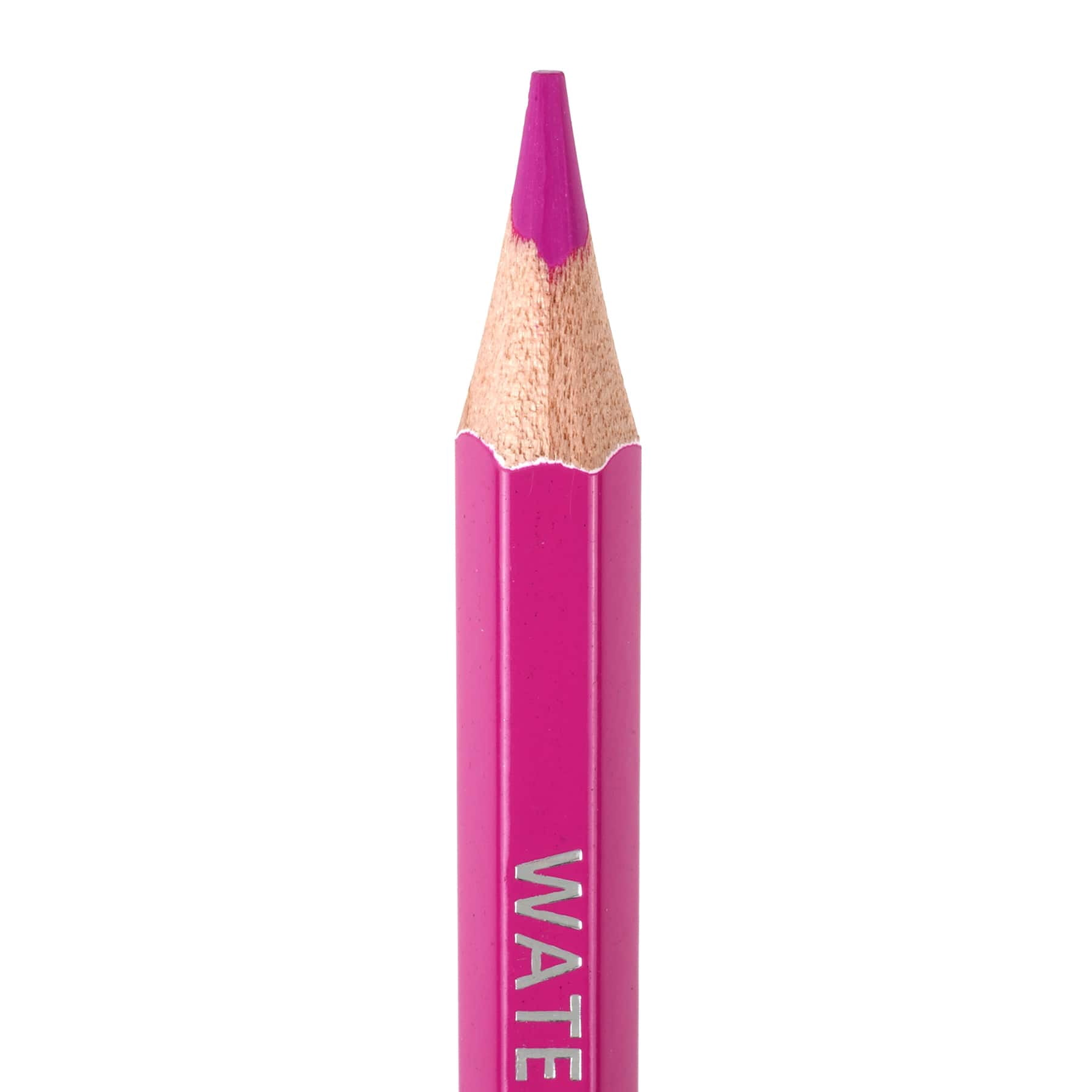 Artist's Loft Level 1 Watercolor Pencils, 6 Packs: 48 ct. (288 total)