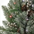 thumbnail image 3 of 4 ft. Snowy Morgan Spruce Entrance Tree with 100 Twinkly LED Lights, 3 of 5