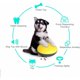 thumbnail image 3 of Chirriador interactivo para perros, juguetes chirriantes para perros, dispensador de comida para perros, juguetes masticables indestructibles para perros, Juegos, Pelota interactiva para perros, 3 of 5