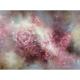 thumbnail image 2 of Singatullin, Marsel 18x15 Black Ornate Wood Framed with Double Matting Museum Art Print Titled - The Birth of Color, 2 of 4