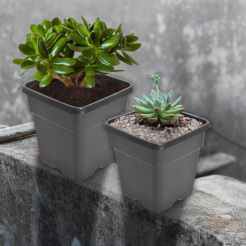 10 Pack Nursery Pots 2 Gallon Garden Planter Plastic Sqaure Seedling Pots White Flower Plant Container for Succulents, Seedlings, Cuttings, Transplanting, Black