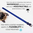 thumbnail image 4 of Regal Dog Products Waterproof Collar with Double Buckle and D Ring, 4 of 8