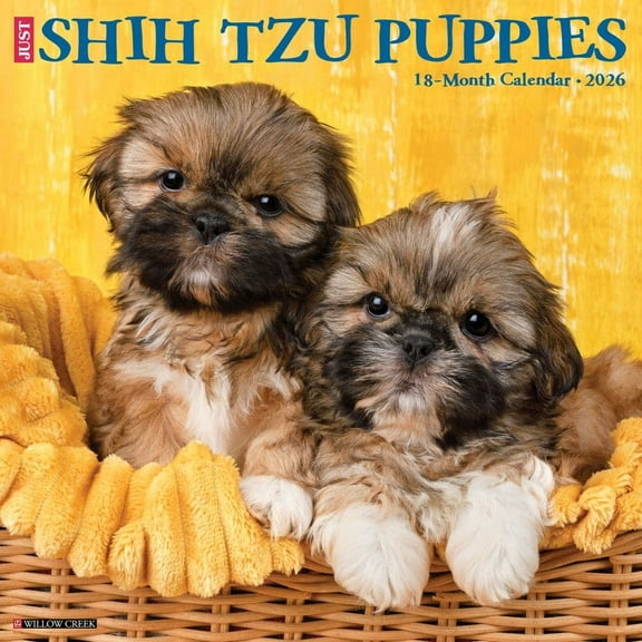 Willow Creek Press, Just Shih Tzu Puppies 2026 Wall Calendar, 12'' X 12'', 18-Month Calendar with Stapled Binding