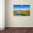 thumbnail image 3 of Trademark Fine Art 'Blue Liquid' Canvas Art by Philippe Sainte-Laudy, 3 of 3
