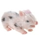 thumbnail image 1 of Muyoka Muñeca de cerdo de silicona suave, tacto suave, lindos animales renacidos, juguetes para niños renacidos, accesorios de fotografía, muñecas, pelo enraizado a mano, cuerpo, animal, cerdo, muñeca Muyoka Hogar, 1 of 7
