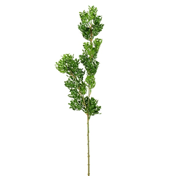 Vickerman 27" Artificial Green Boxwood Spray. Includes 3 sprays per pack.