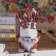 thumbnail image 3 of Advancent Decoración de fiesta Gnome Doll Festival Accesorios Adorno de Navidad Suministros de vacaciones Accesorios ornamentales exquisitos Kits de decoración para fiestas Masculino, 3 of 6