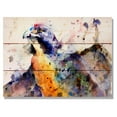 thumbnail image 2 of Day Dream HQ DCPER2014 20 x 14 in. Peregrine Wall Art, 2 of 4