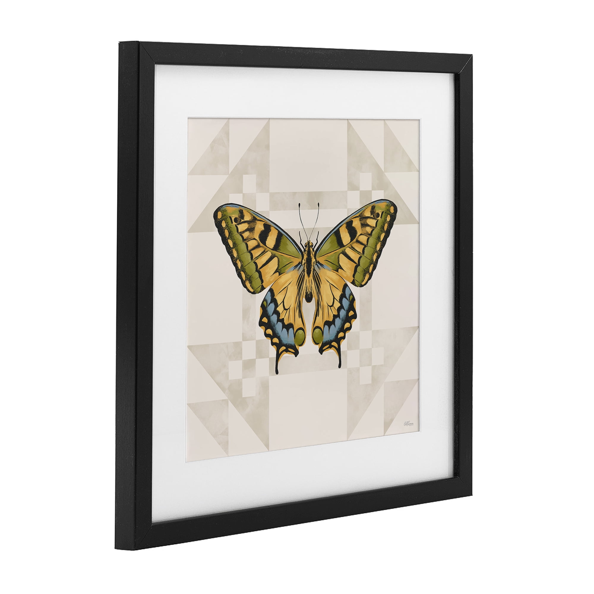 Stupell Industries Green Swallowtail Butterfly Black Framed Print Under Glass, design by Cat Thurman Designs