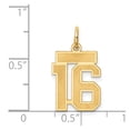 thumbnail image 4 of Auriga 14K Yellow Gold Satin Number 16 Charm for Women, 4 of 6