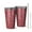Red Cartoon Dinosaurs-2, variant on 16oz Tumblers Rainbow Dinosaurs Tiny Plants Stainless Steel Vacuum Insulated Double Wall Travel Tumbler Cups Mug with Lid and Straw,Cleaning Brush for Coffee,Tea