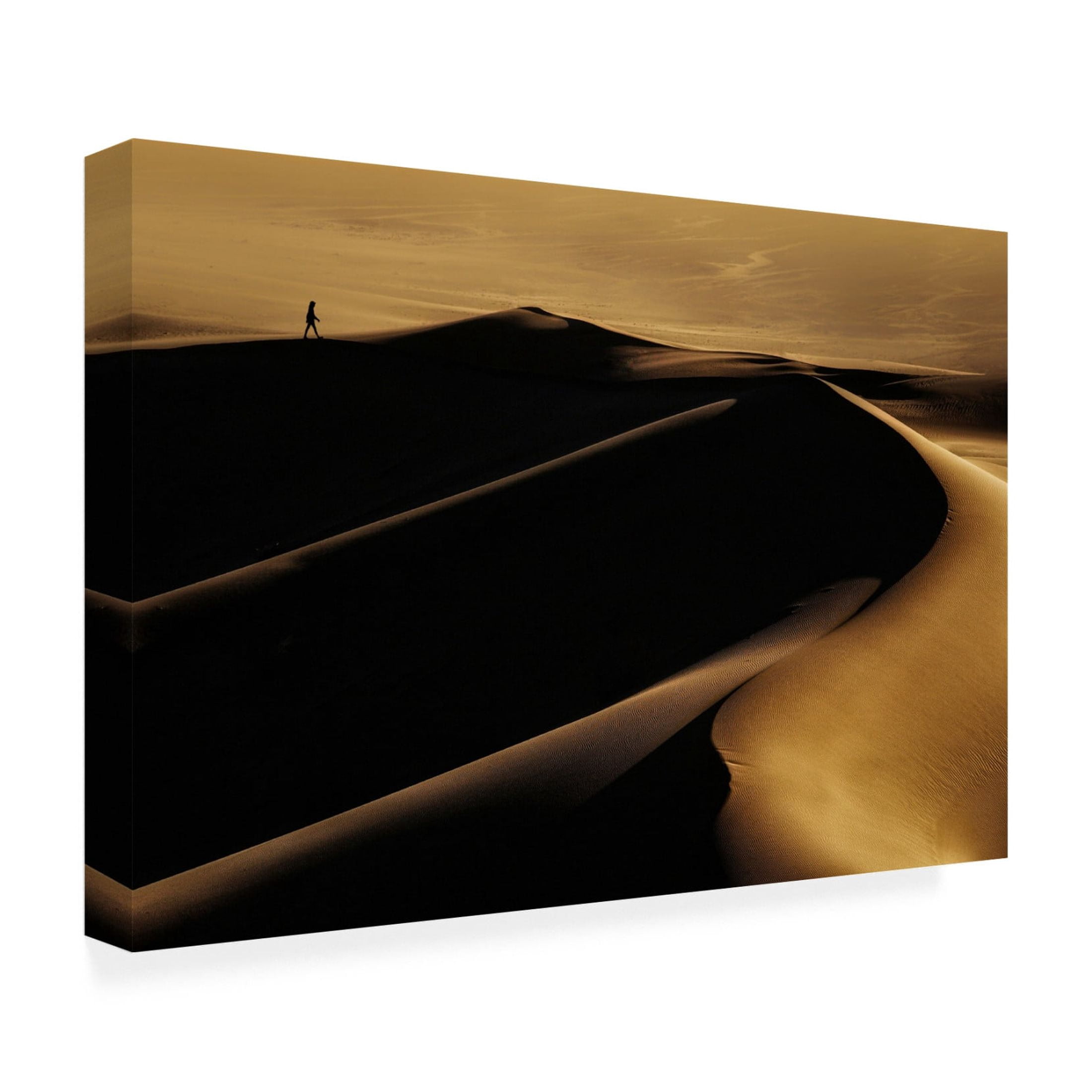 Canvas Wall Art - Mohammad Fotouhi 'Desert One' Wall Art for Living Room, Bedroom, or Office Décor by Trademark Fine Art - 24 x 16 Inches