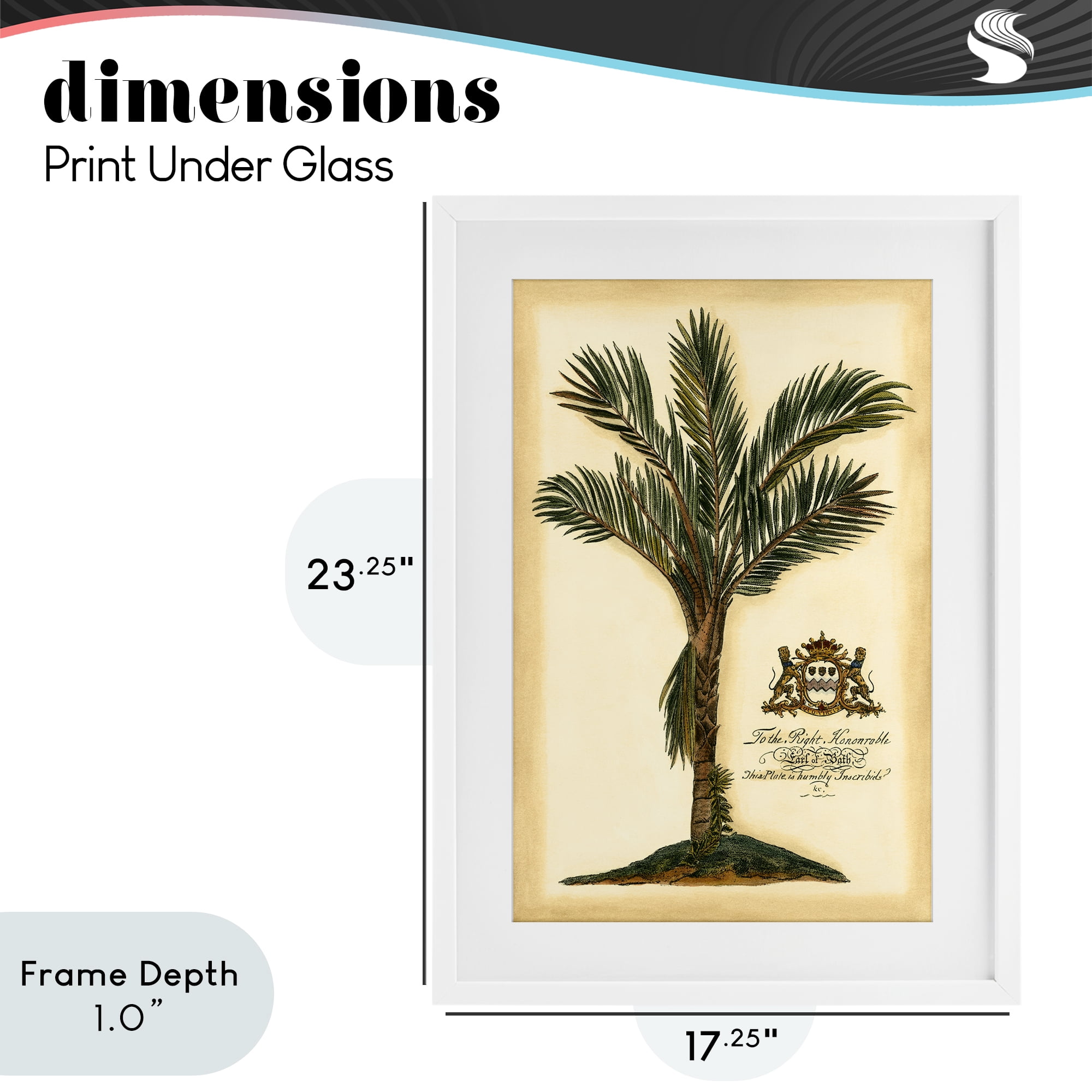 Stupell Industries Vintage Colonial Palm White Framed Print Under Glass, design by Vision Studio