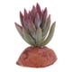 thumbnail image 4 of Plantas para acuarios, decoración de reptiles - Terrario de reptiles F, 4 of 8