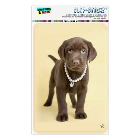 Chocolate Lab Labrador Puppy Dog Crown Necklace Home Business Office Sign
