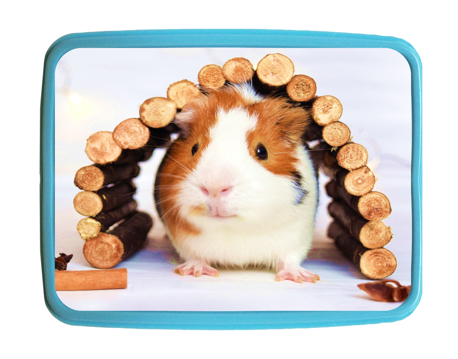 Hamster lunchbox book report image