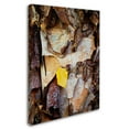 thumbnail image 2 of Trademark Fine Art "Birch Leaf" Canvas Art by Kurt Shaffer, 2 of 3