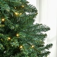 thumbnail image 2 of HOMCOM 7ft Pre-Lit Full Douglas Fir Artificial Christmas Tree with Realistic Branches, 700 Warm White LED Lights and 2154 Tips, 2 of 8