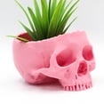 thumbnail image 3 of Clever Contraptions Real-Looking Skull Succulent Planter – Macabre Elegance (Medium), 3 of 9