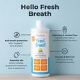thumbnail image 3 of Premium Oxyfresh Lemon Mint Fresh Breath Mouthwash – Oral Rinse for Bad Breath – SLS & Fluoride Free Mouthwash – Alcohol Free, Gentle Non Burning Mouthwash with Xylitol & Essential Oils, 3 of 10