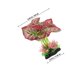 thumbnail image 5 of unbranded Artificial De Para Paisajismo En De Peces, 5 of 6