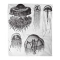 thumbnail image 1 of ASHLEIGH Flannel Throw Blanket Jellyfish Collection Vintage from Meyers Konversations Lexikon 1897 Soft for Bed Sofa and Couch 50x60 Inches, 1 of 1