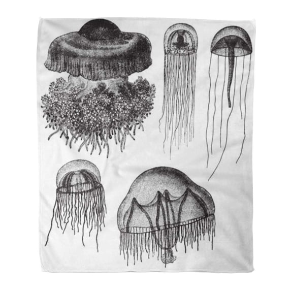 ASHLEIGH Flannel Throw Blanket Jellyfish Collection Vintage from Meyers Konversations Lexikon 1897 Soft for Bed Sofa and Couch 50x60 Inches