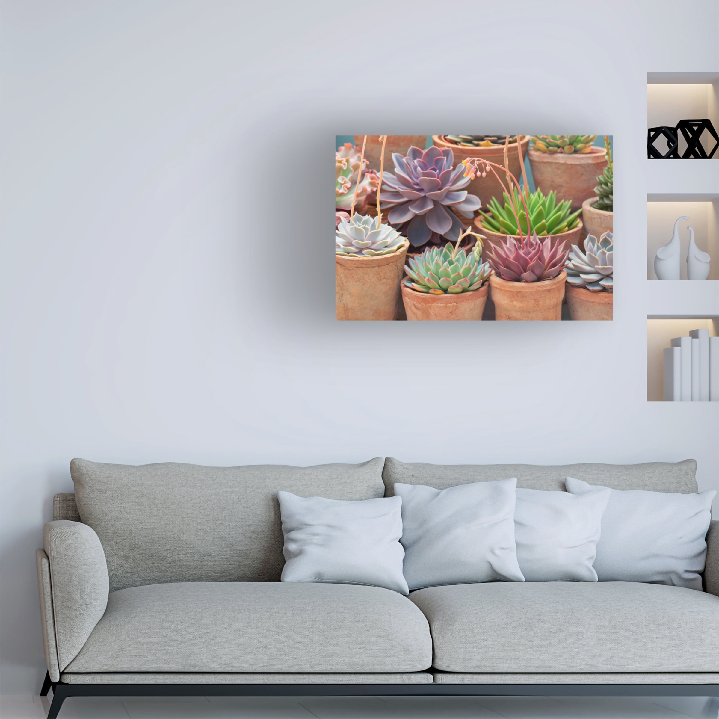 Cora Niele 'Succulents in Terracotta Pots III' Canvas Art