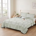 thumbnail image 2 of Queen Quilt Set 90''x96'', Sage Green Lightweight Summer Bedspread Coverlet Set with 2 Pillow Shams, Vintage Elegant Abstract Art Breathable All Season Quilt Bedding for Bedroom/Guest Room, 2 of 9