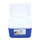 thumbnail image 5 of Caja De Refrigerador Portátil De 5L, Multifuncional Mantiene La Frescura De Los Alimentos Y Bebe Estuche Aislado Fresco Para El Campamento, 5 of 7