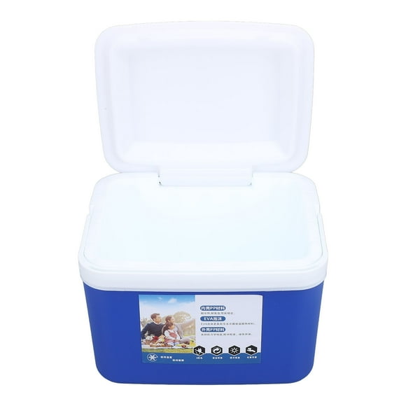 Glacière Portative Isolée de 5 L, Étui Rigide Isolé de Grande Capacité, Glacière Portative avec Poignée pour Voyage, Voiture, Pique-Nique, Garde les Aliments Frais et les Boissons Fraîches