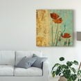 thumbnail image 3 of Poppies and Damask I' Canvas Art by Louise Montillio, 3 of 4