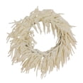 thumbnail image 2 of Nearly Natural Norfolk Island Pine Artificial Christmas Wreath - 24" - Unlit, 2 of 7