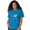 thumbnail image 3 of Cute Louisiana Pelican State Pride Women's Graphic T Shirt Tees Brisco Brands L, 3 of 6
