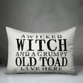 thumbnail image 2 of Creative Products A Wicked Witch and Grumpy Toad 14x20 Indoor / Outdoor Pillow, 2 of 2