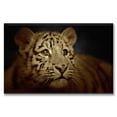 thumbnail image 1 of Cuadro Canvas Pixtreats Tigre Cachorro 40X60 cm, 1 of 4