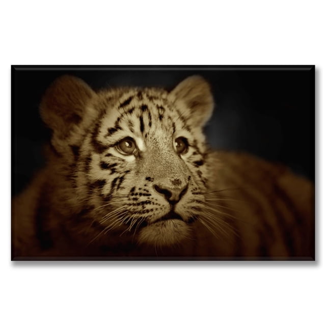 Cuadro Canvas Pixtreats Tigre Cachorro 40X60 cm