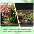 thumbnail image 3 of 1+1 Snake Enrichment Rings for Ball Python, Climbing Toys for Corn Snake Enrichment Toys Snake Climbing Accessories for Terrarium, Bearded Dragon, Chameleon, Iguana, Gecko, Lizard, Parrot-Colairsoap, 3 of 3