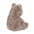 thumbnail image 3 of Douglas Grey Bear- Hugh, 3 of 4