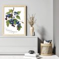 thumbnail image 2 of Kit Punto Cruz Con Frutas Hilo Algodón Ecológico Bordado 14CT Obra Arte 22x32cm, 2 of 9