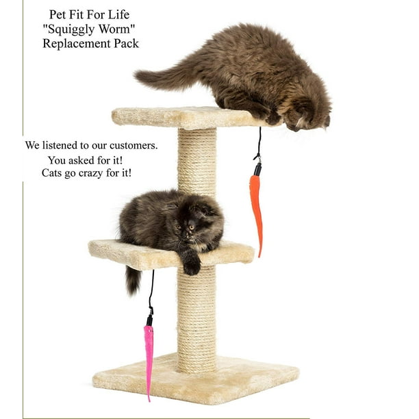 Hookworm medicine for clearance cats walmart