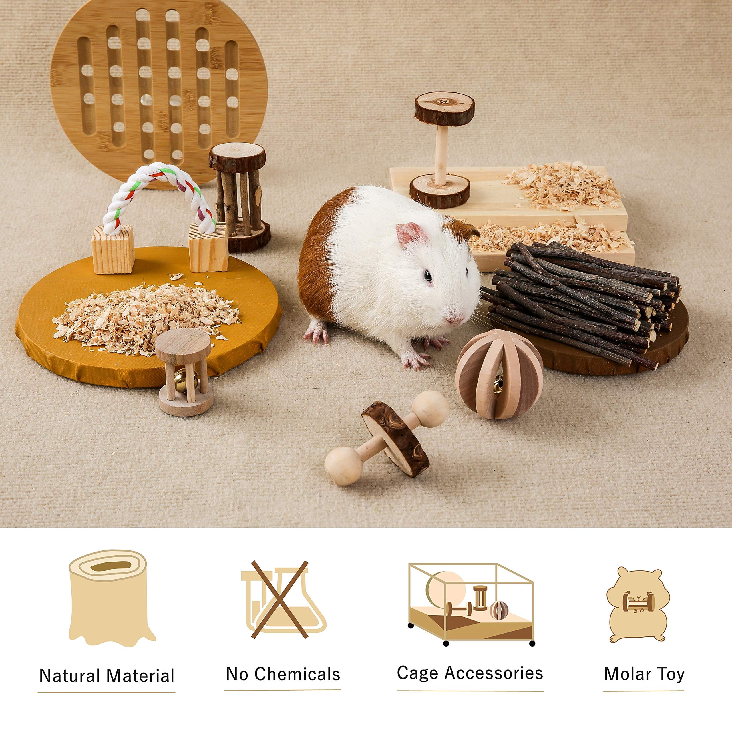 Cool guinea pig toys deals