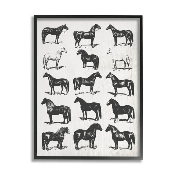 Stupell Industries Vintage Varied Horse Breeds Graphic Art Black Framed Art Print Wall Art, Design by Daphne Polselli