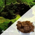 thumbnail image 2 of Moss Preserved Artificial Moss 8.8 oz Natural Fresh Green Moss for Craft Arts Floral Project Wall Decor Table Decor Wedding Centerpieces Garden Terrariums Decoration, 2 of 6