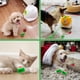 thumbnail image 4 of Pelotas de tenis para perros NICERINC PET de 3,8 cm, paquete de 12 para perros pequeños, 4 of 6