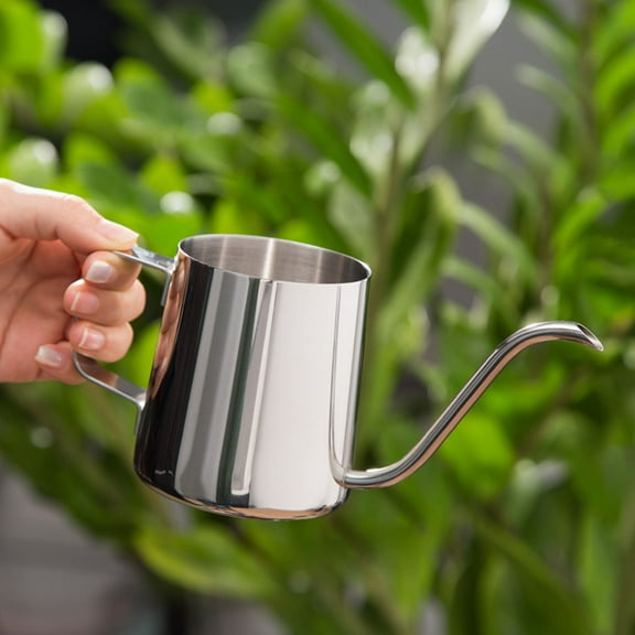 12Oz Small Stainless Steel Watering Can With Slender Mouth And Handle Uncovered Watering Pot For Indoor Plants Watering(Silver)