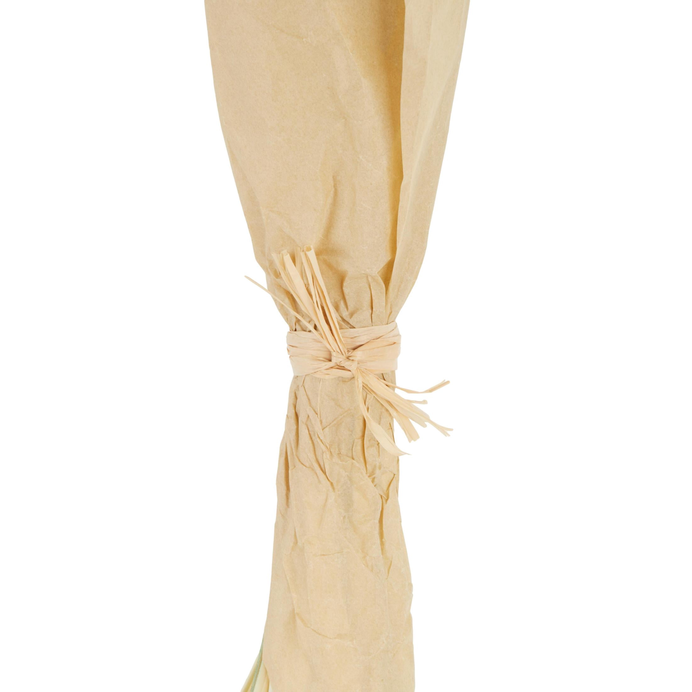 41" Tall Floral Bouquet Dried Plant Natural Foliage Bouquet with Cream Stems, by DecMode